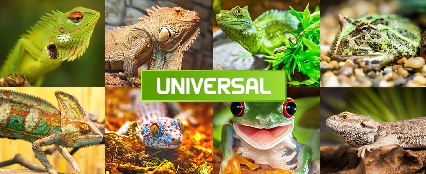 Reptile Chameleon Cantina Drinking Fountain Water dripper Supplied with Feeding Tongs and Frosted Tweezer for — product details