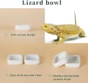 Ceramic Reptile Food Bowls — Reptile Water Food Dish