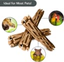 3 Pack Shrimp Cholla Wood — Aquarium Driftwood Decor for Fish Tank Setup