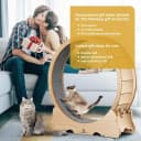 Cat Wheel — 46" XL Large Exercise Running Wheels with Detachable Carpet for Indoor Cats
