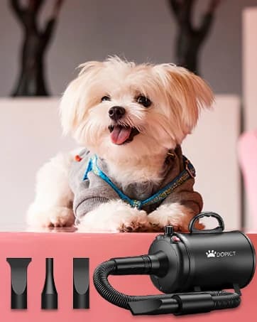 Pet Dryer, 5.2HP/3800W Pet Grooming Dryer with Adjustable Speed and Temperature Control Dog Blow Dryer, Pet — collection imagery