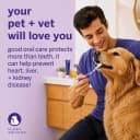 Professional Pet Toothbrush — 45° Cats + Dogs