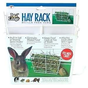 Small Animal Feeder with Lid and Sifter Bottom | Outdoor Gravity Feeder for Rabbits — Small Animal Feeders