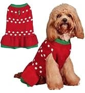 Soft Dog Hoodies for Small Dogs — collection imagery