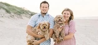 Dog Surgery Recovery Suit — Male Female After Spay Neuter Onesie — collection imagery