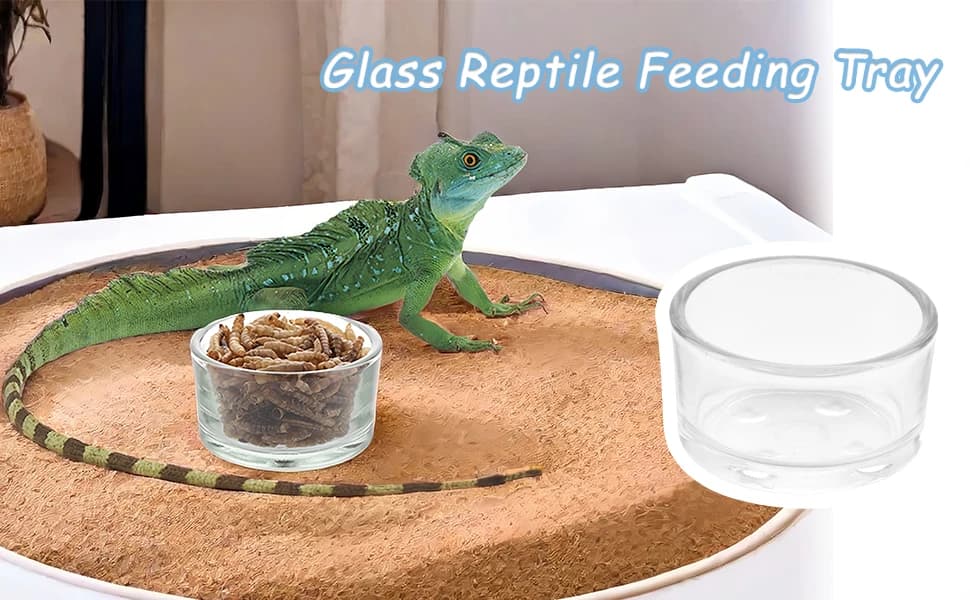 4 Pcs Glass Reptile Feeding Bowl Food Water Dish Feeder Cup for Lizard Spider Corn Snake Centipede Scorpion — product details