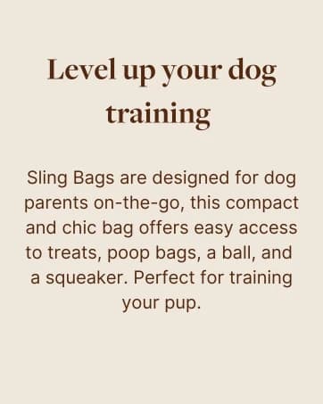 Snackpack Double Insulated Dog Treat Pouch – 1.5 Cup Capacity — collection imagery