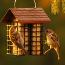 Double Suet Cake Feeder — Weather Guard