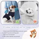 Dog Surgery Recovery Suit — Surgical Suit for Dogs Male Female