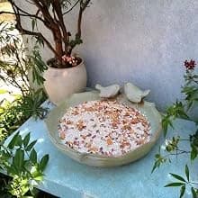 Ceramic Bird Bath for Outside on Ground — 9.45-Inch Birds Bath Bowl Only — Different scene