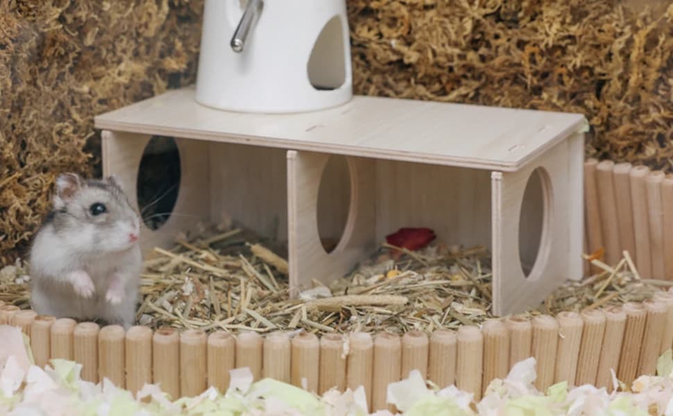 Hamster Peep Tunnel — 2-Chamber Wooden Hamster Hideout — product details