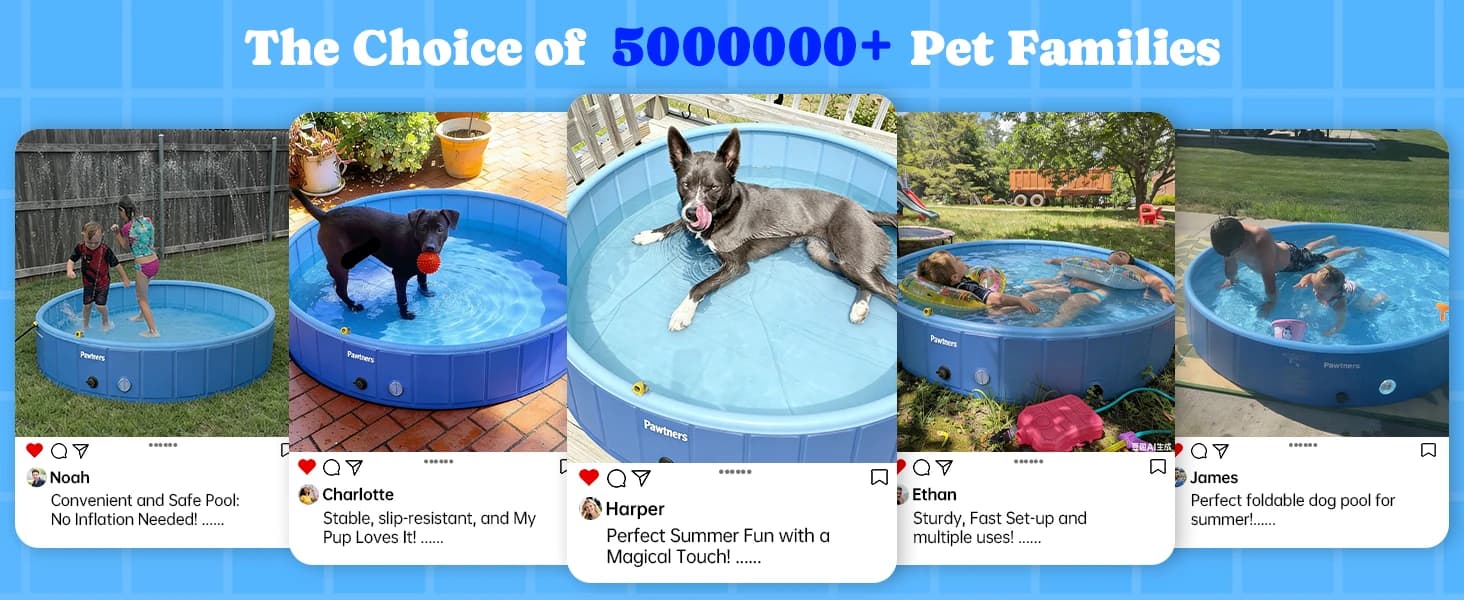 Foldable Dog Pool with Sprinkler and RGB LED Light — collection imagery