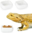 Ceramic Reptile Food Bowls — Reptile Water Food Dish