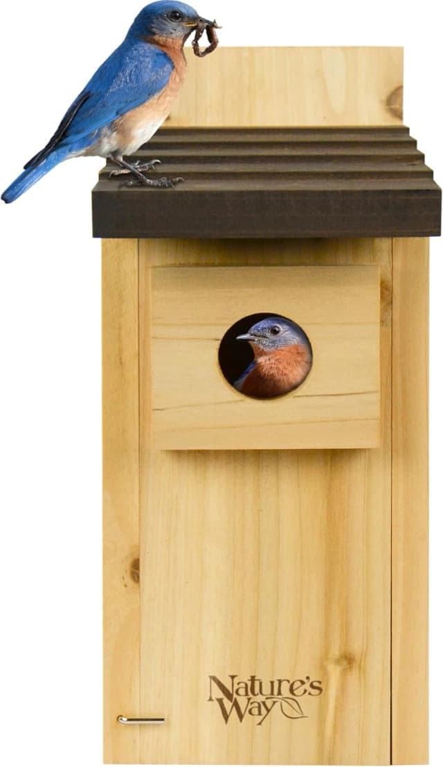 Nature’s Way Cedar Bluebird House for Outdoor Nesting
