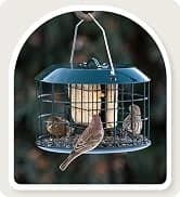 Metal Bird Feeders for Outdoors Hanging — collection imagery
