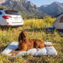 On-The-Go Travel Dog Bed — Portable Roll-Up Mat with Buckle