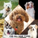 USA Dry Skin and Itch Relief Pet Shampoo for Dogs – Oatmeal Formula with Coconut Lime Verbena Scent & Pet