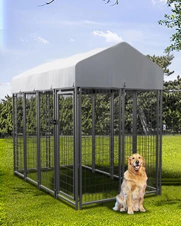8x4x6FT Outdoor Dog Kennel for Large Dogs — collection imagery
