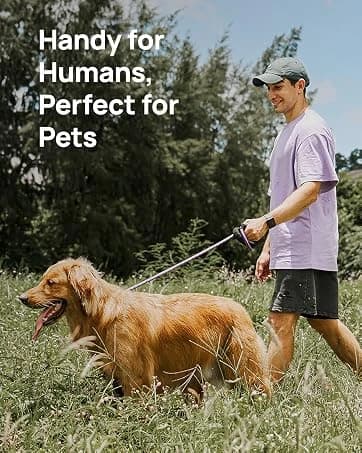 Dog Wipes for Dogs and Cats — Glove Design — collection imagery