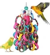 Bird Toys Conure Toys, Bird Parrot Foraging Shredder 24 Pcs Colorful Bagel Chewy Rings for Small Parrots — collection imagery