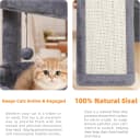 YOUPET Cat Tree with Cat Scratching Post for Indoor Cats