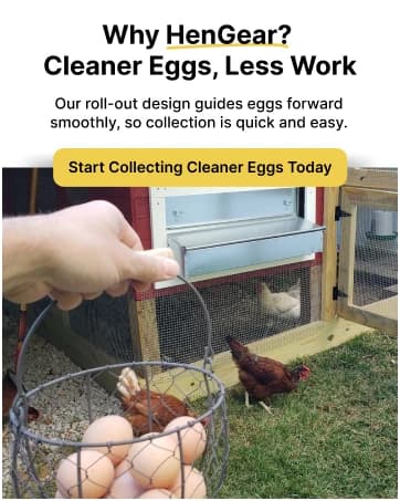 Nesting Boxes for Chickens — Roll Away Laying Boxes — collection imagery