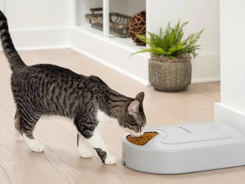 Automatic Dog Feeder — 5 Meals — 5 Meal Pet Feeder