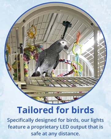Sunrise and Sunset Timer for Bird Lights — collection imagery