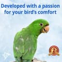 Sunrise and Sunset Timer for Bird Lights