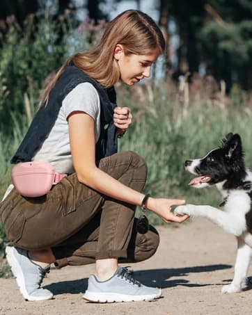 2.5 Gal Gravity Dog Water Dispenser — collection imagery