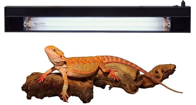 24 Watt T5 HO ReptiSun 10.0 UVB Lamp — product details