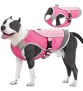 Dog Surgery Recovery Suit — Surgical Suit for Dogs Male Female — collection imagery