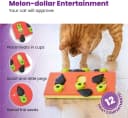 Nina Ottosson Melon Madness Puzzle and Play Cat Toy