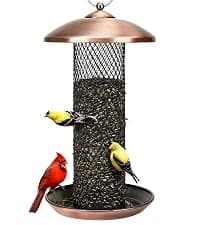 Metal Bird Feeders for Outdoors Hanging — collection imagery