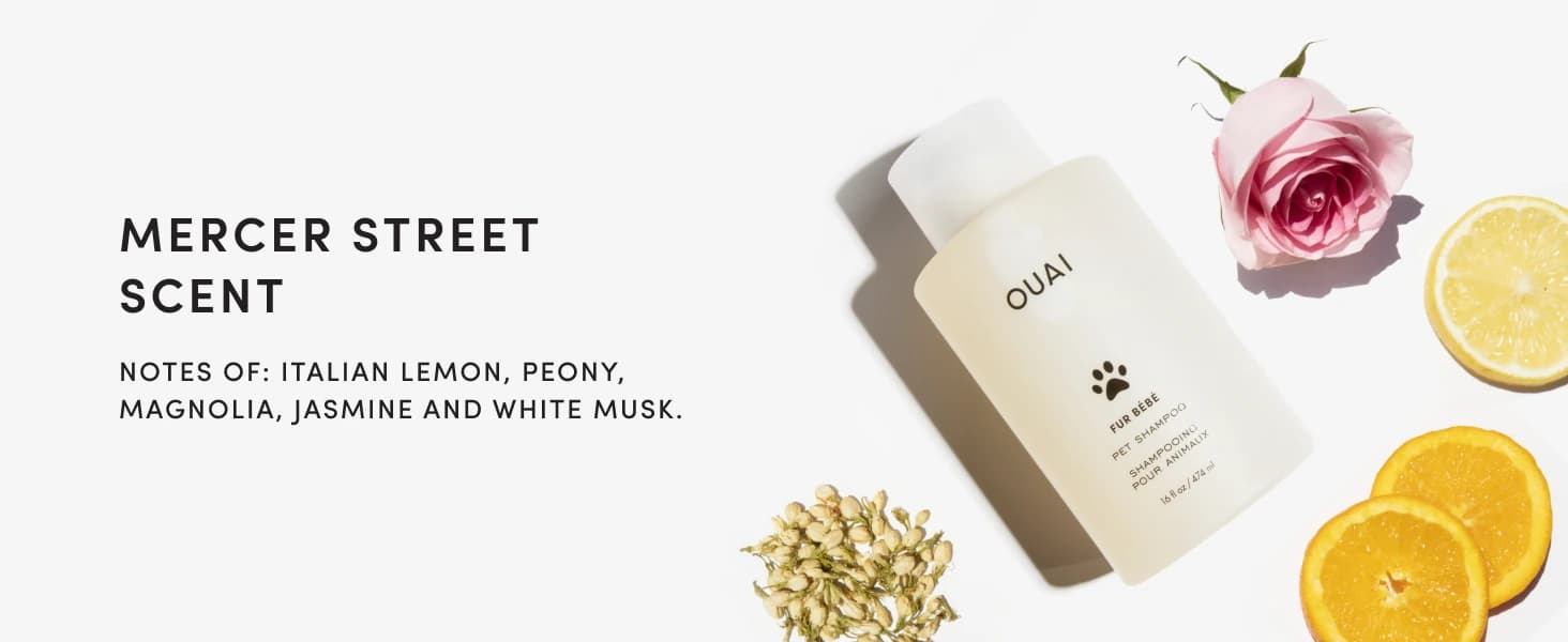 Fur Bébé Pet Shampoo - Mercer Street Scent (16 Fl oz) — collection imagery