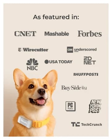 GPS Tracker for Dogs – Real-Time GPS Tracking and Escape Alerts — collection imagery