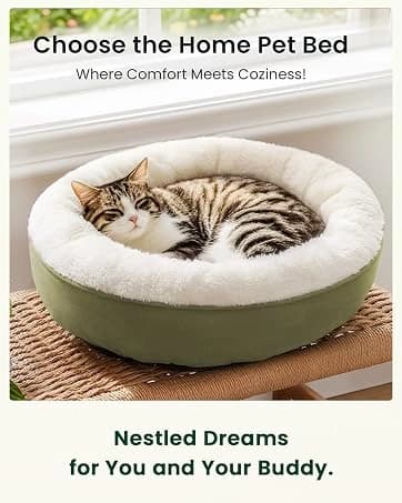 Dog Stairs for High Bed, Foldable Pet Stairs for Small and Medium or Large Dogs Puppy with Storage for Bed or — collection imagery
