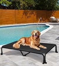 Outdoor Dog Bed with Canopy — Cooling Elevated Dog Shade for Outside — collection imagery