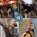 Dog Lift Harness — Full Support
