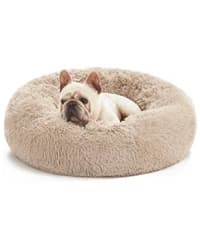 Dog Stairs for High Bed, Foldable Pet Stairs for Small and Medium or Large Dogs Puppy with Storage for Bed or — collection imagery