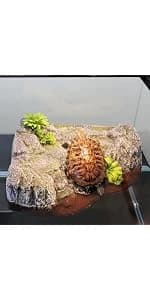 Large Turtle Basking Platform for Aquatic Turtles — product details