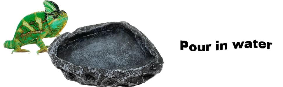 2 Pack Reptile Feeding Dish Corner Bowl — Reptile Water Dish Food Bowl Feeding Terrarium Bowls for Bearded — collection imagery