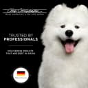 Boar Dog Brush — Groom Like a Professional