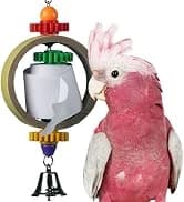 SB751 PVC Forager Bird Toy — Medium/Large Bird Size — collection imagery