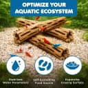 3 Pack Shrimp Cholla Wood — Aquarium Driftwood Decor for Fish Tank Setup