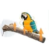 Heated Bird Perch for Cage Bird Thermo Perch Warmer Cage Heater for African Grey — Parakeets — collection imagery