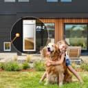Genuine Power Pet Fully Automatic Pet Door from Brand. Pet Collar Operated