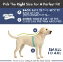 Dog Cooling Vest - Evaporative Summer Cooling