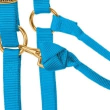 Supply Original Non-Adjustable Nylon Horse Halter – Durable Nylon — Box-stitched stress points for added strength.