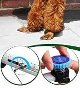 Dog Wheelchair for Back Legs — Adjustable Mobility Cart for Dog — collection imagery